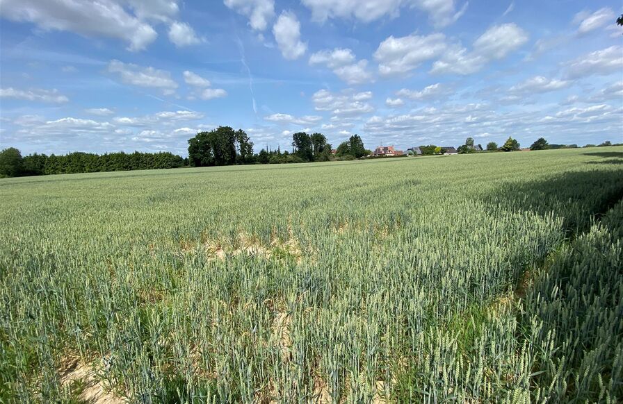 Bouwgrond te koop in WEMMEL