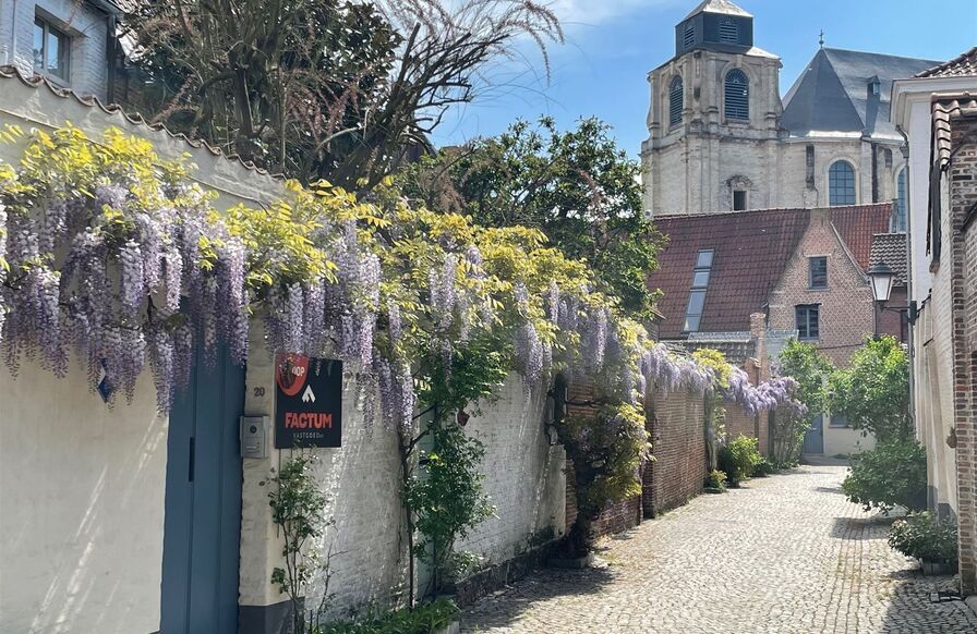 Karaktervolle woning te koop in MECHELEN