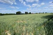 Bouwgrond te koop in WEMMEL