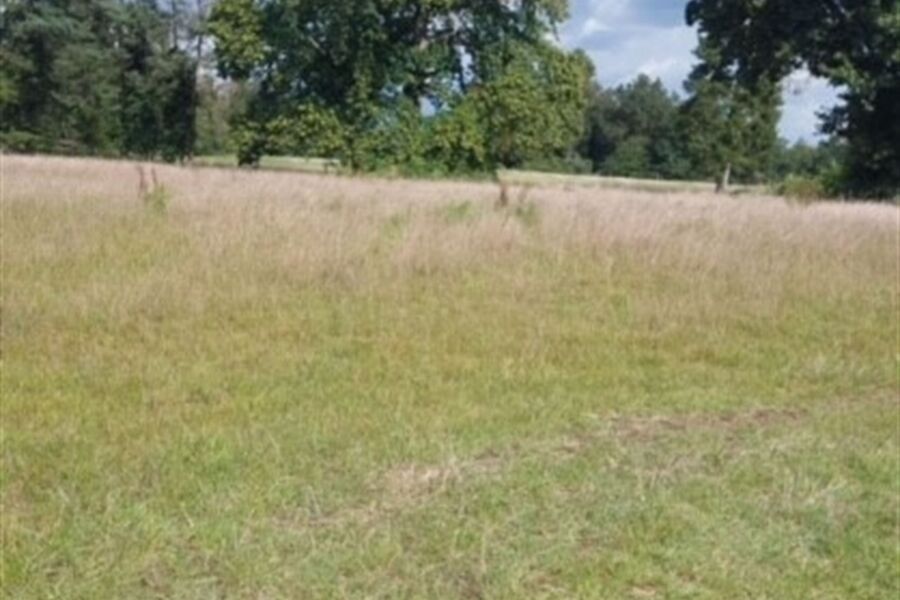 Huis te koop in NIJLEN